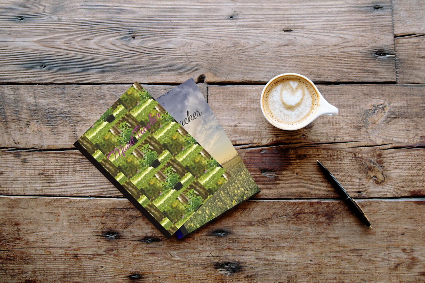 Mood Tracker: A Narrow Rule Lined Notebook For Mental Health Paperback